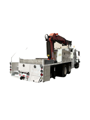 GRUA International WorkStar 7500 AÑO 2009